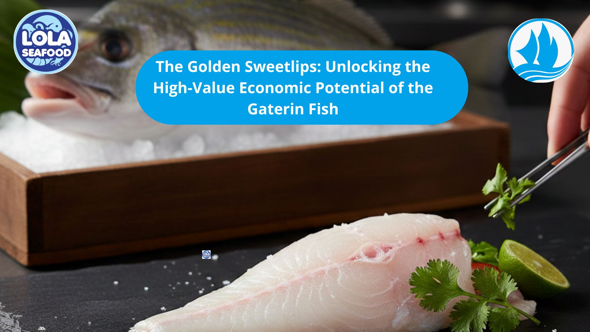 The Golden Sweetlips: Unlocking the High-Value Economic Potential of the Gaterin Fish